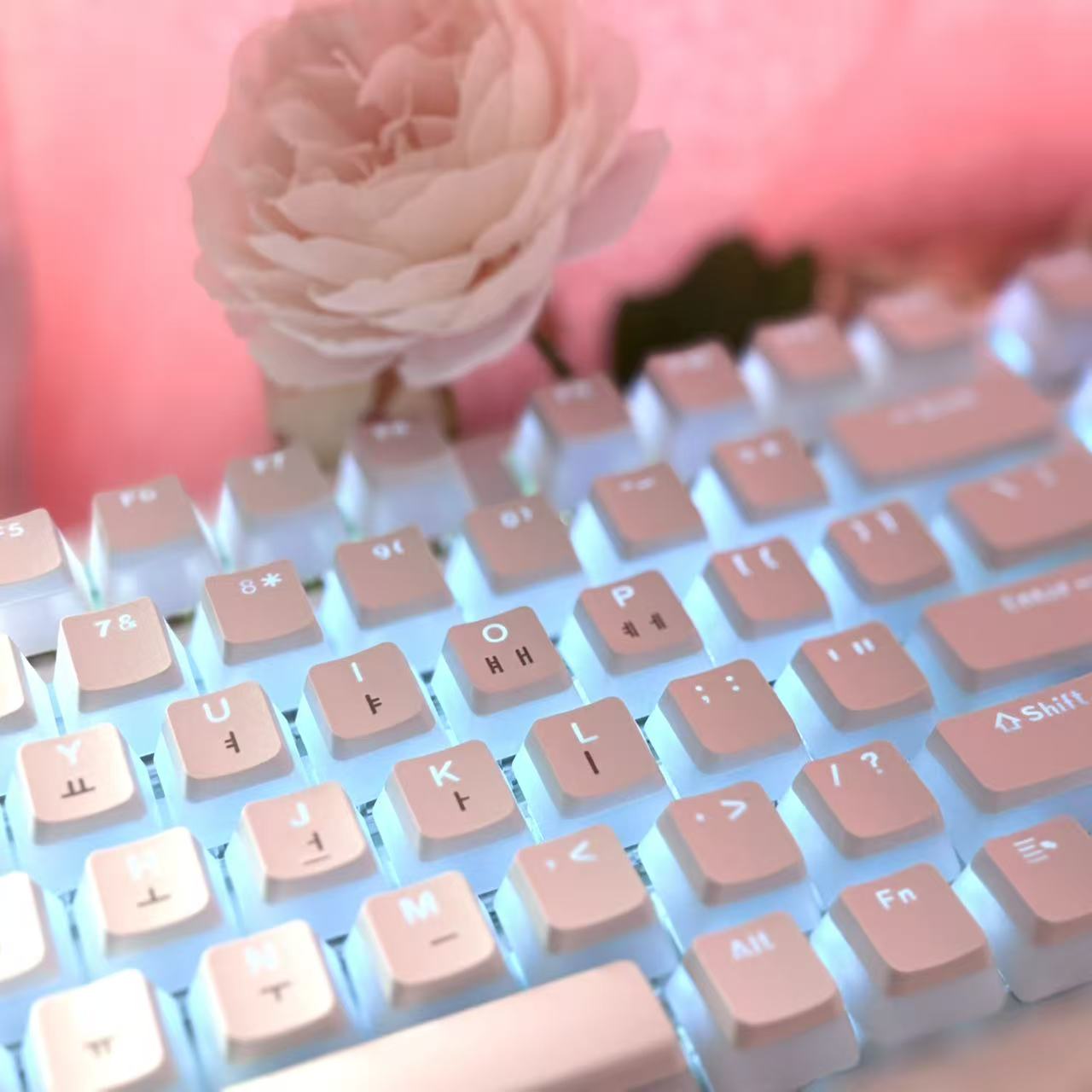 Колпачки для клавиш Hangul Кор – обзор и цена Gaming Accessories Aesthetic